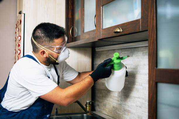 Best Flea Control Services  in St Leon, IN