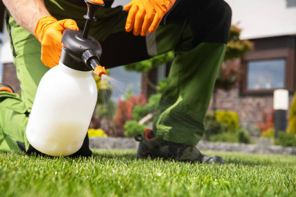 Best Pest Control for Businesses  in St Leon, IN