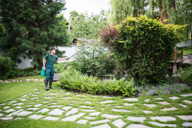 Best Mosquito Control Services  in St Leon, IN