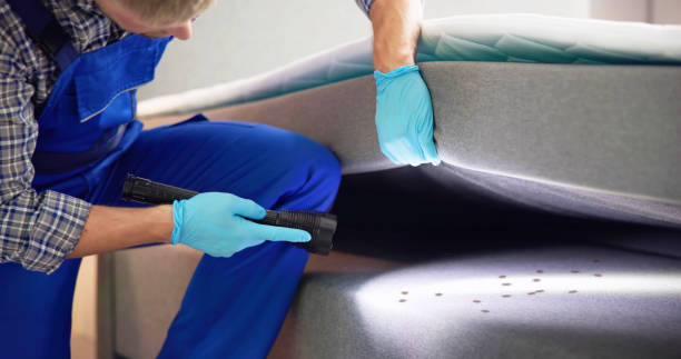 Best Pest Control Near Me in St Leon, IN