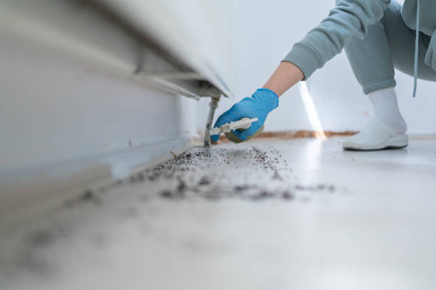Best Pest Removal Services  in St Leon, IN